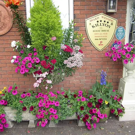 Killyon Guest house Navan